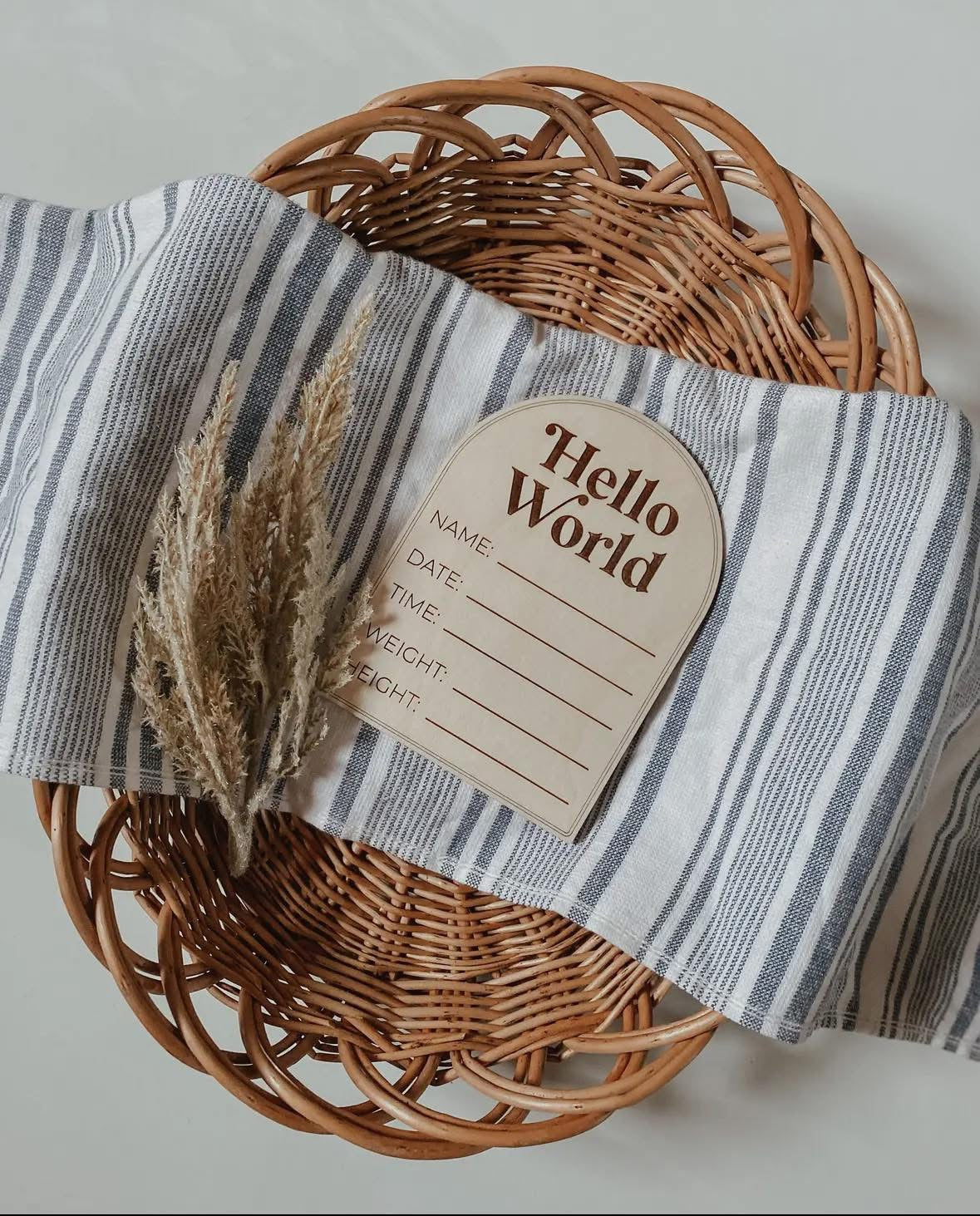Hello World Reversible Wooden Baby Details Announcement Photo Prop