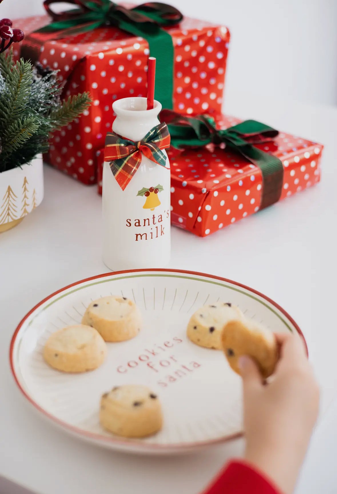 Santa’s Milk & Cookies Set