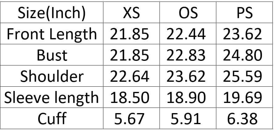 USA Varsity Pullover PREO