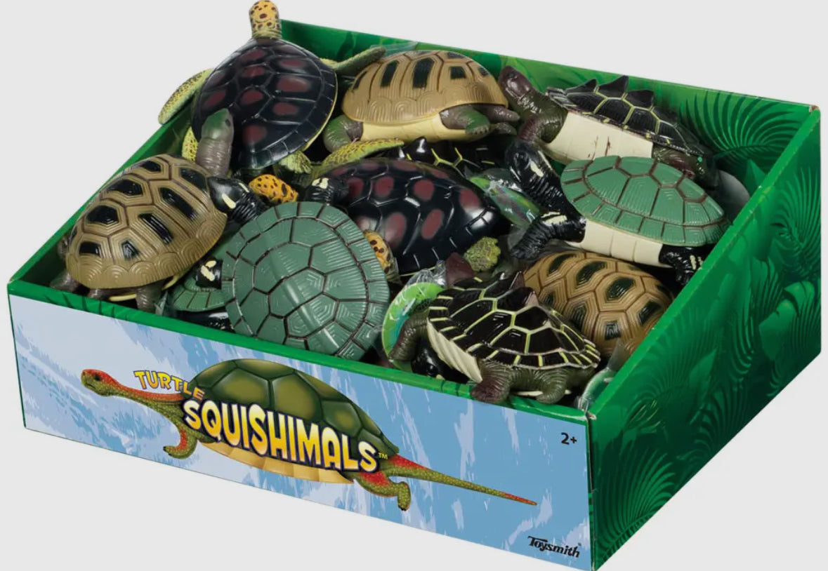 Turtle Squishimals RTS