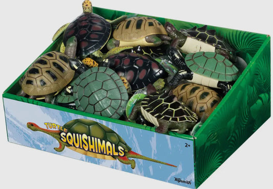 Turtle Squishimals RTS