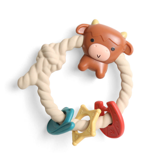 Ritzy Rattle™ Silicone Teether Rattle