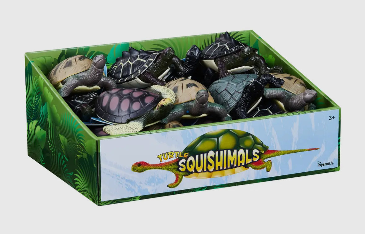 Turtle Squishimals RTS