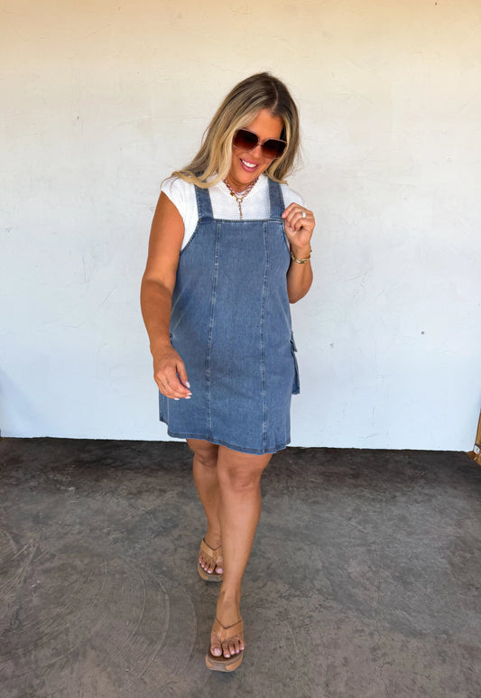 Millie Denim Dress PREO