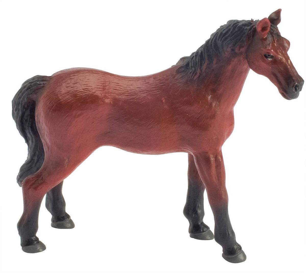 Farm Fresh Country Horses