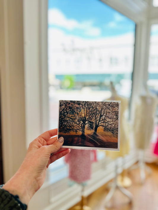Sunny Tree’s Greeting Card