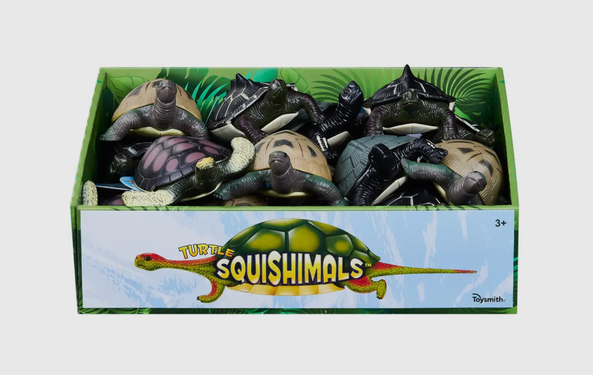 Turtle Squishimals RTS