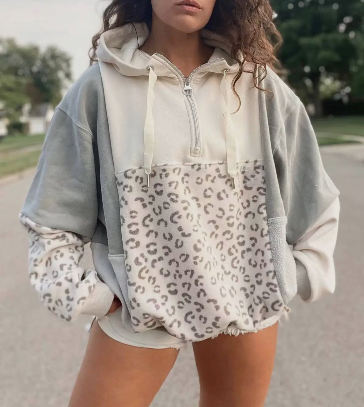 Leo Colorblock 1/4 Zip Hoodie RTS