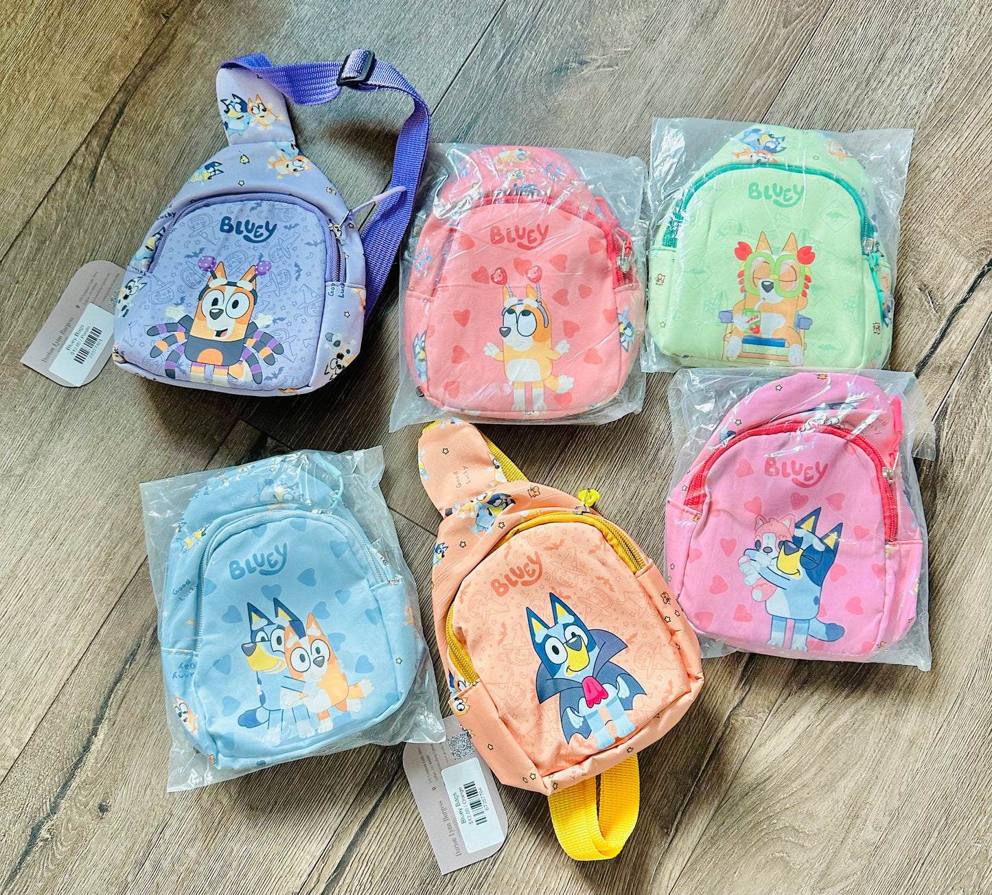 Bluey Bags