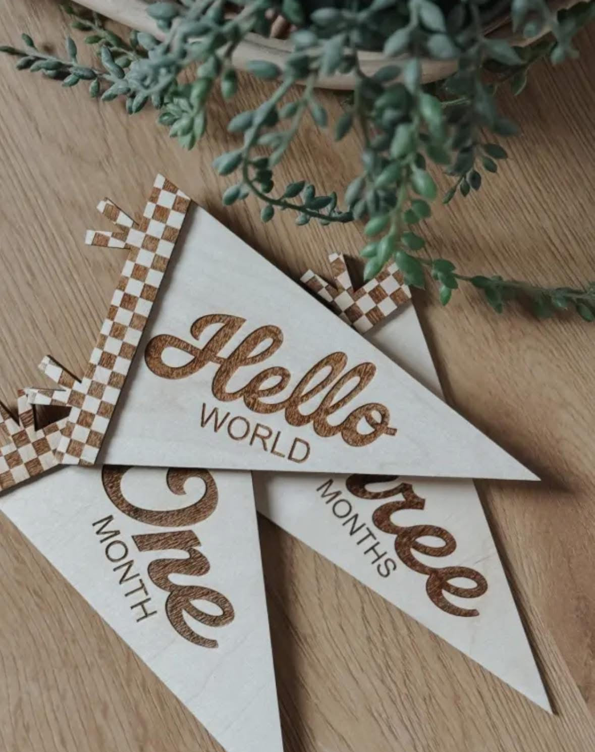 Baby Announcement + 12 Month Milestone Wooden Photo Prop RTS