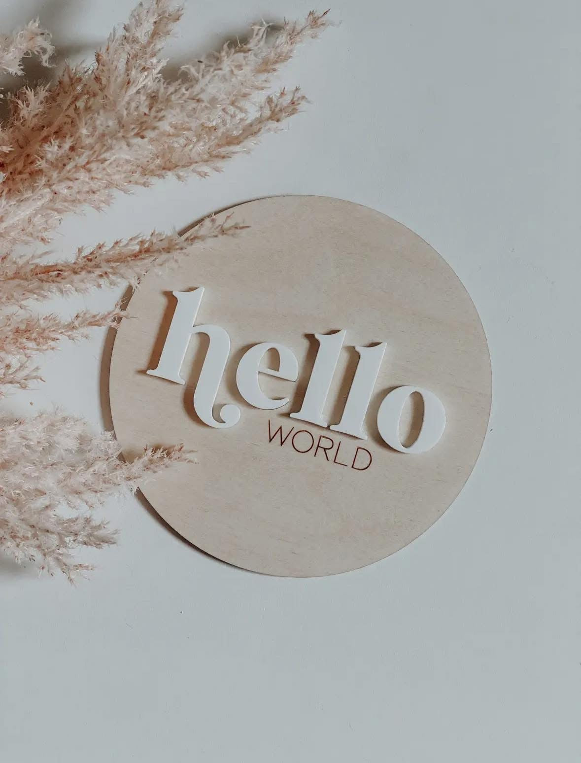 Hello World Wood + Acrylic Baby Announcement Photo Prop