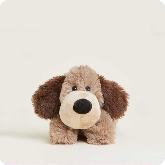 Brown Dog Warmie Junior