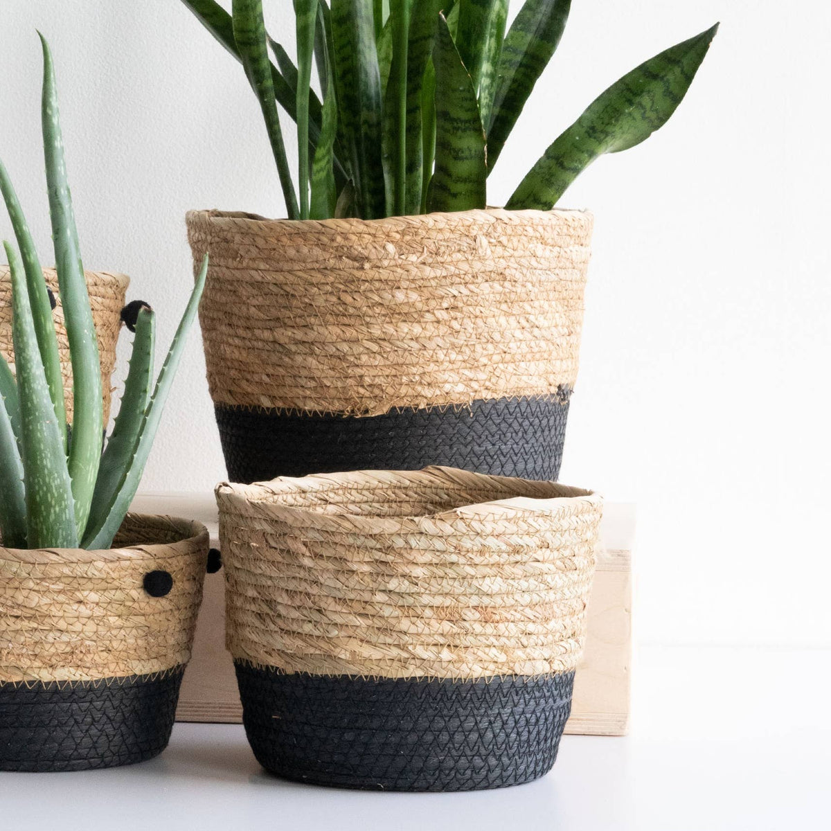 Black & Cattail Storage Gift Basket