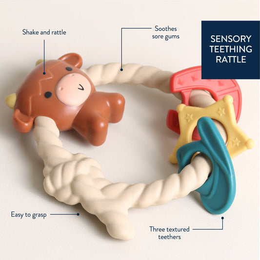 Ritzy Rattle™ Silicone Teether Rattle