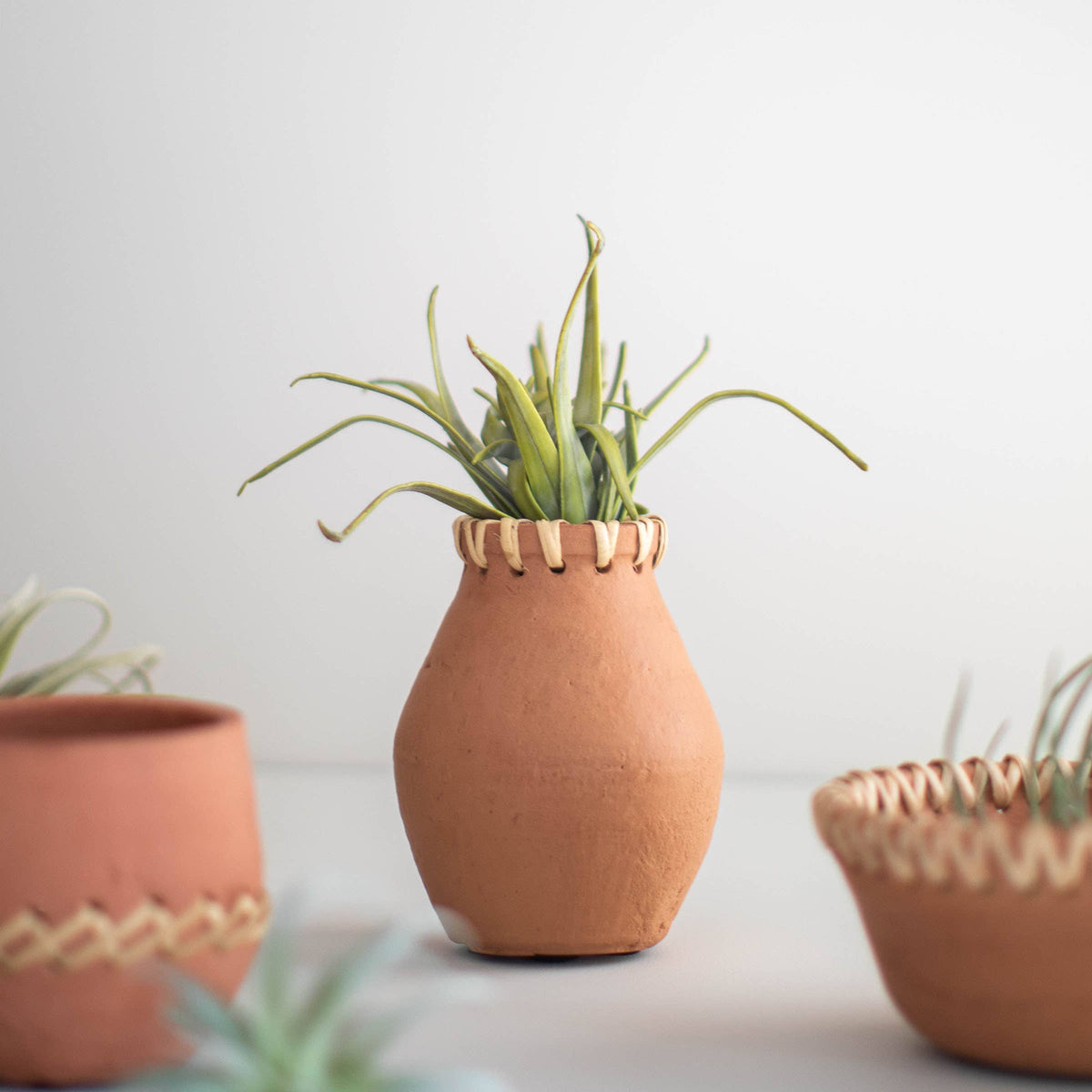 Mesa Terracotta & Cane Weave Vase