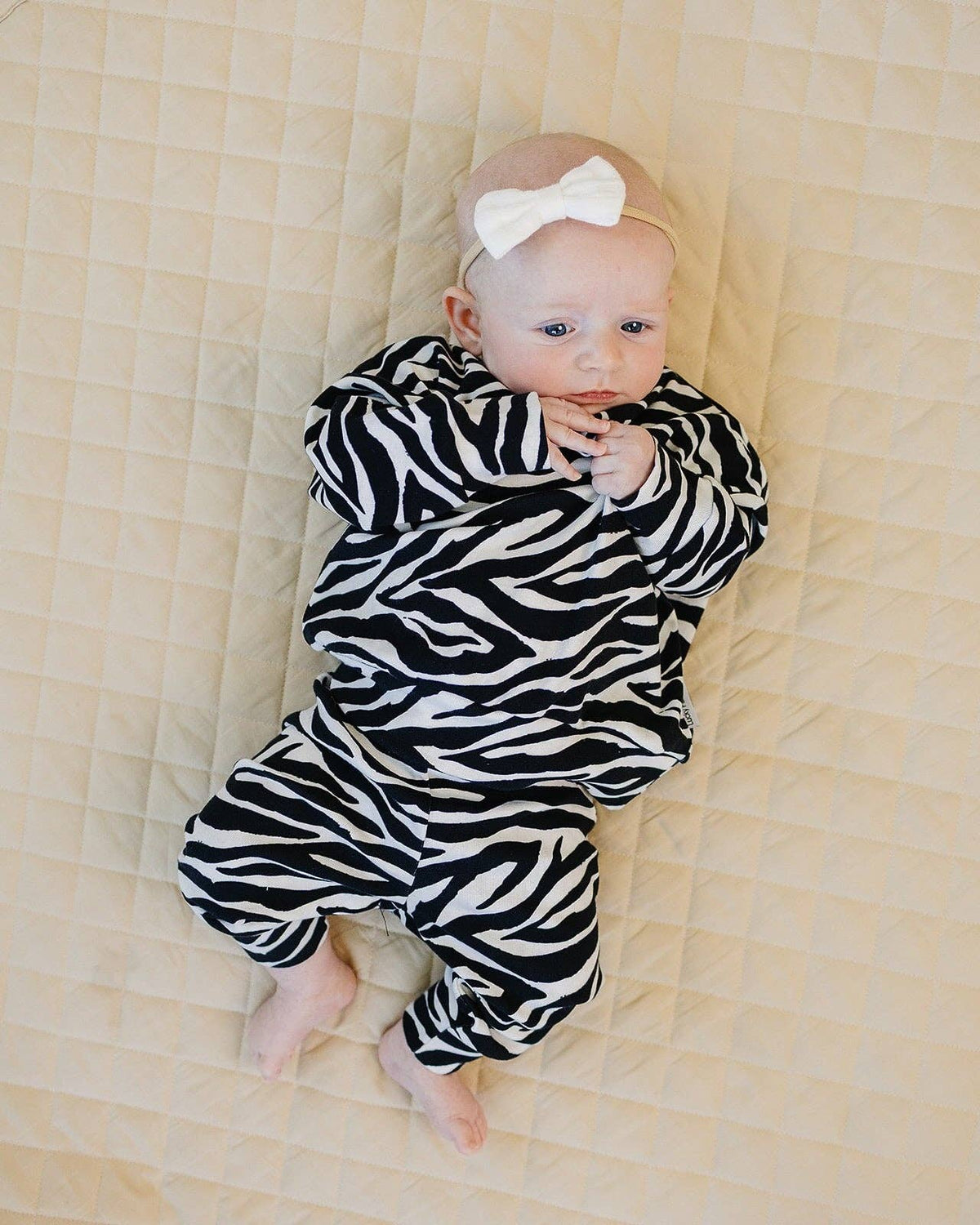 Zebra Jogger Set