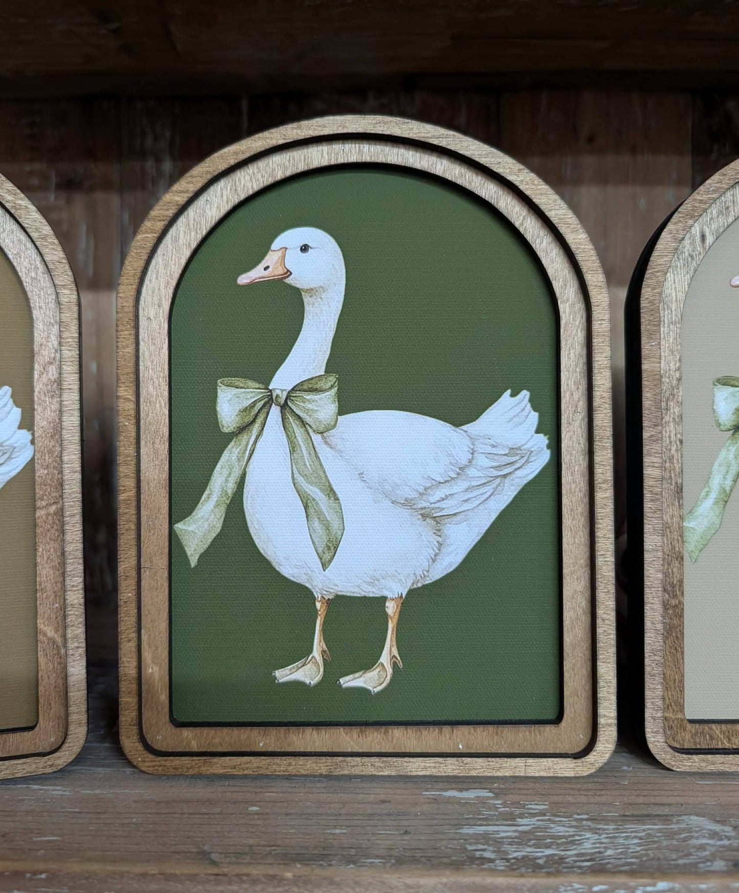Spring Goose Frame