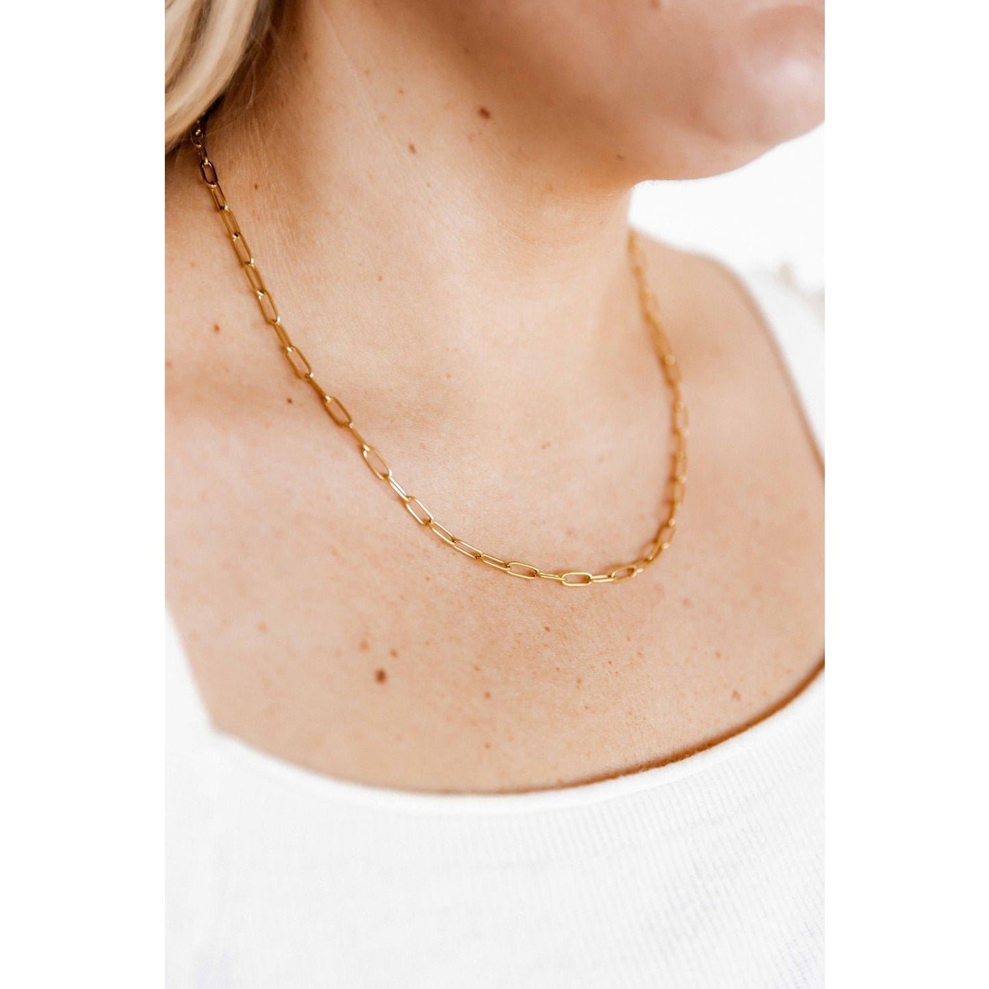 Necklace - Palmer Paperclip Gold