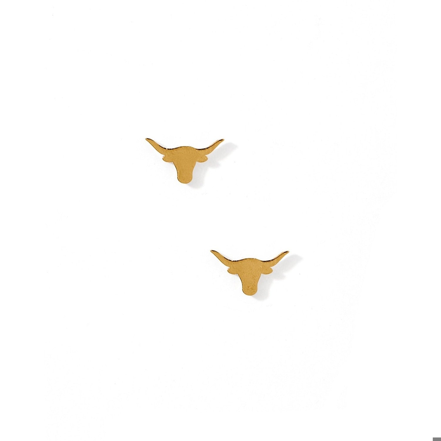 Screwback Stud Earrings - Texas Steer Gold